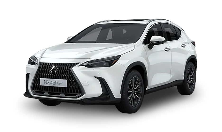 렉서스 RX450h+